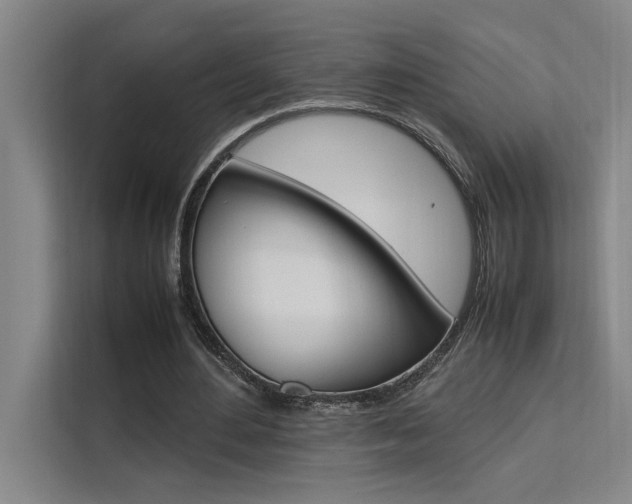 X0000111500484200907141046