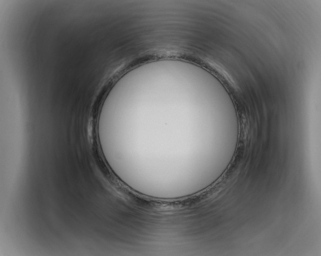 X0000111500494200907141046