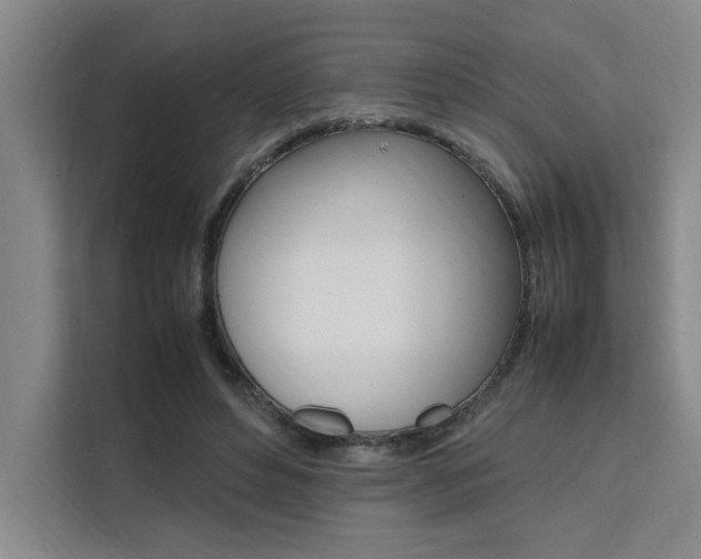 X0000111500496200907141046