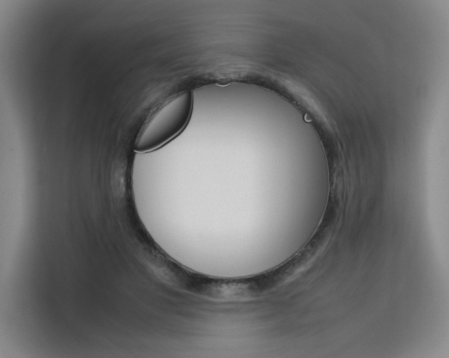 X0000111500501200907141046