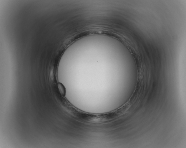 X0000111500504200907141046