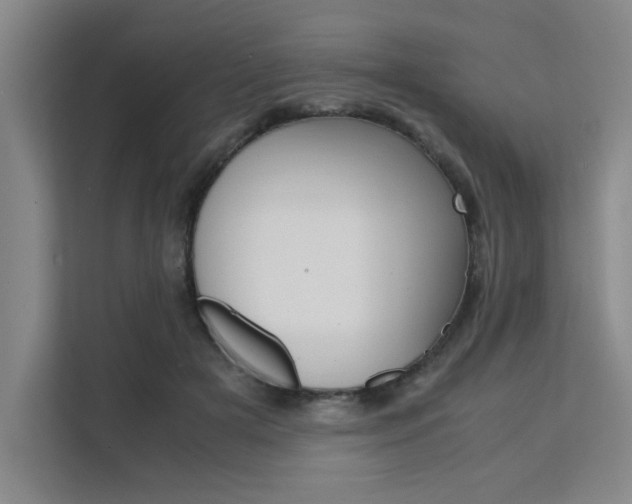 X0000111500505200907141046