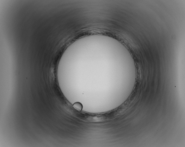 X0000111500506200907141046