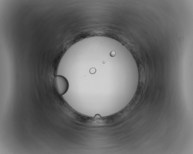 X0000111500518200907141046