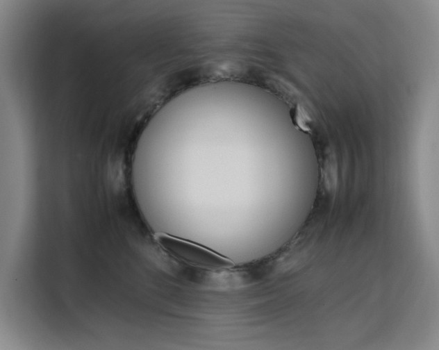 X0000111500520200907141046