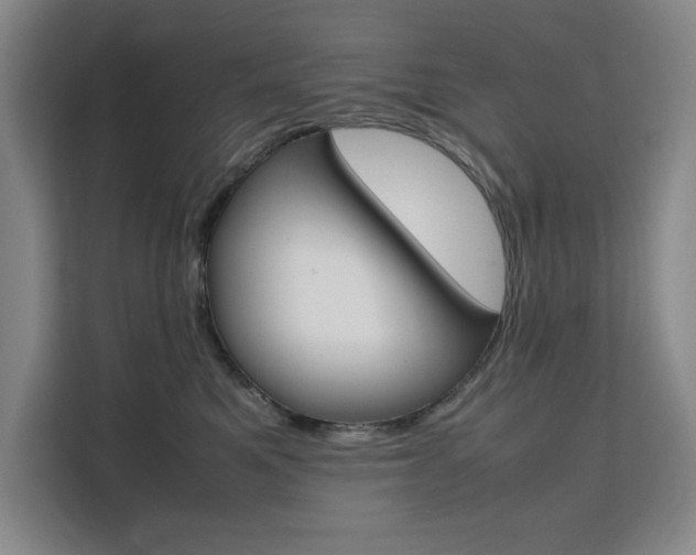 X0000111500521200907141046