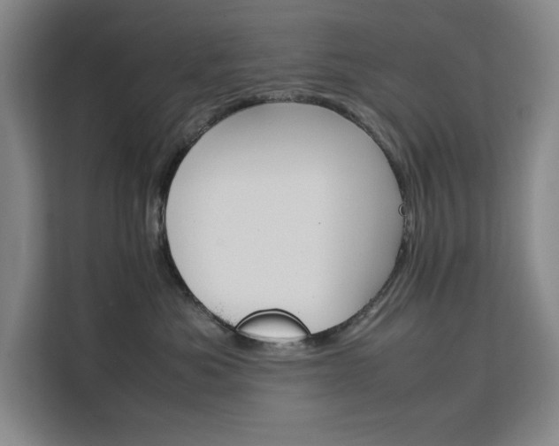 X0000111500525200907141046