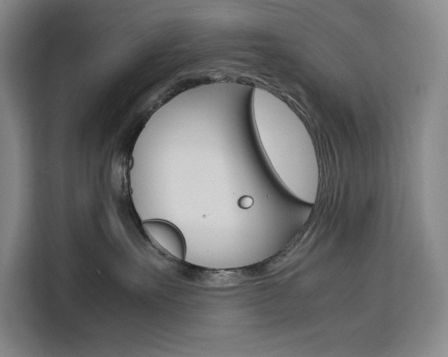 X0000111500527200907141046