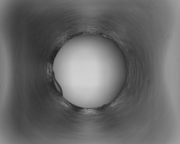 X0000111500528200907141046