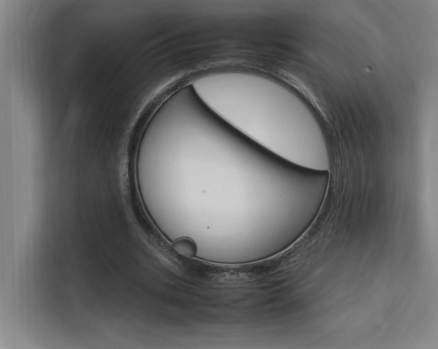 X0000111500535200907141045