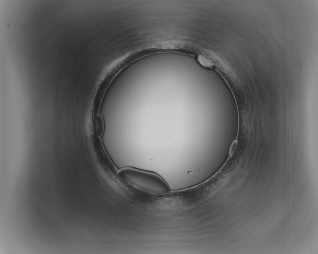 X0000111500536200907141045