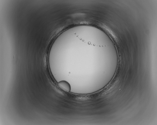 X0000111500537200907141045