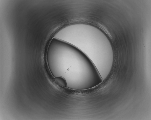 X0000111500538200907141045