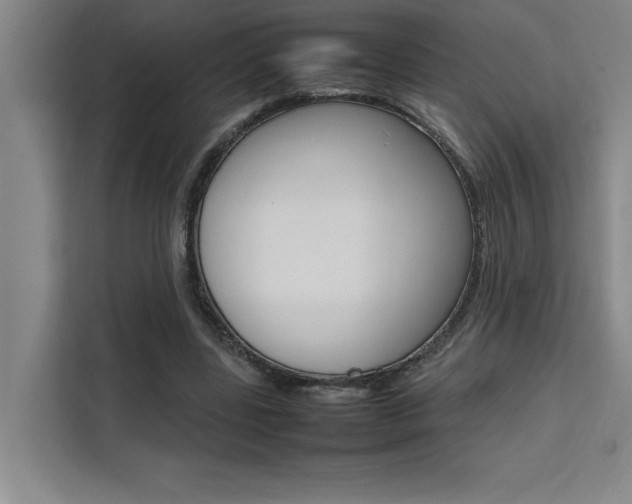 X0000111500539200907141045