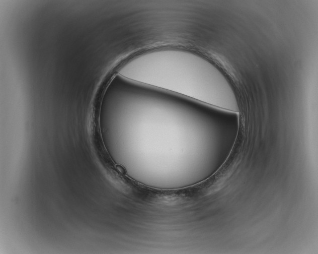 X0000111500540200907141045