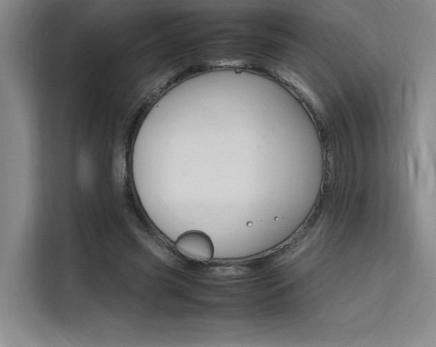X0000111500541200907141045