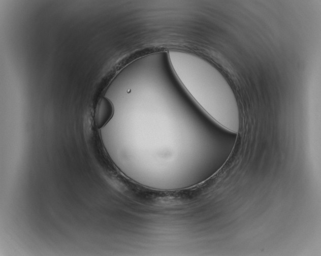 X0000111500544200907141045