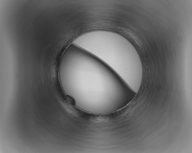 X0000111500546200907141045