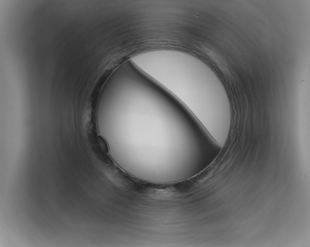X0000111500548200907141045