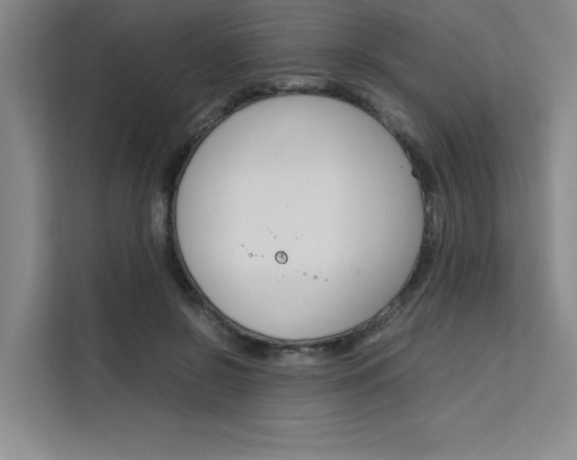 X0000111500550200907141046