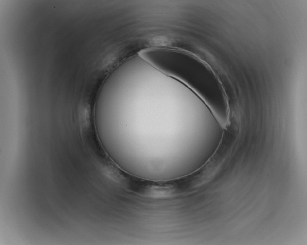 X0000111500556200907141046
