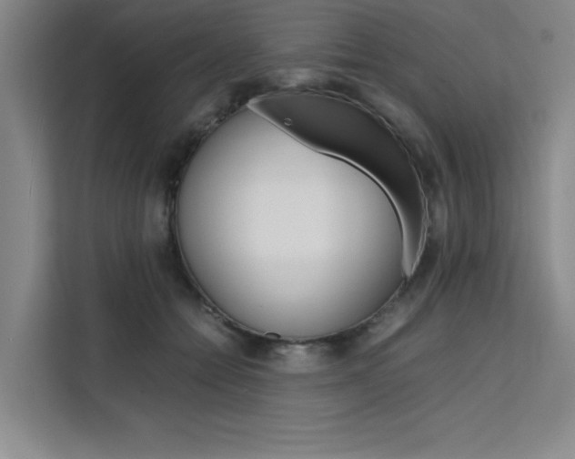 X0000111500558200907141046