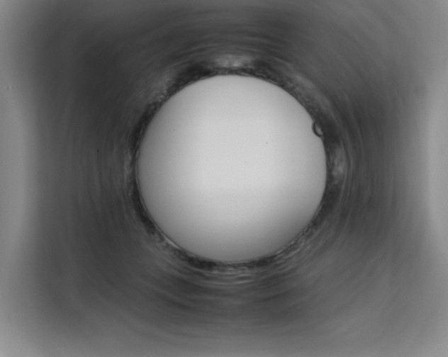 X0000111500559200907141046