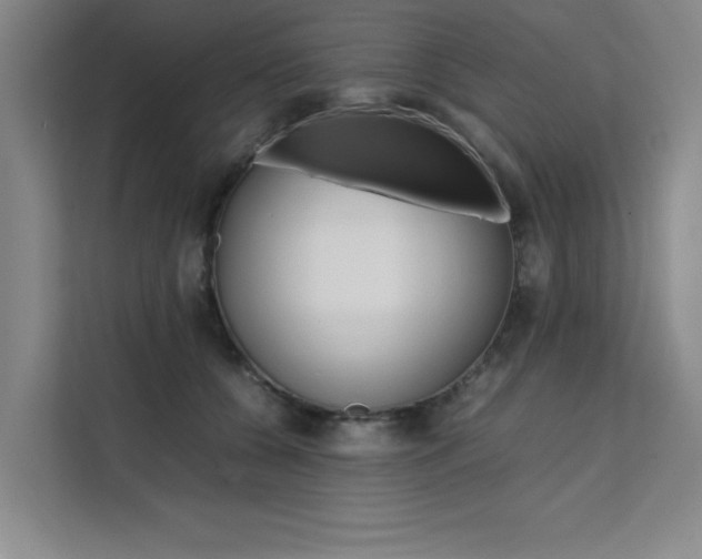 X0000111500560200907141046