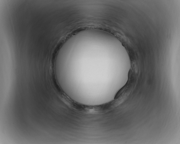 X0000111500564200907141046