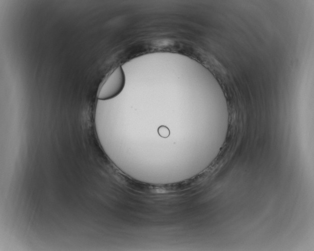 X0000111500565200907141046