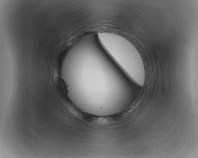 X0000111500566200907141046