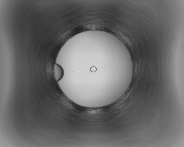 X0000111500569200907141046