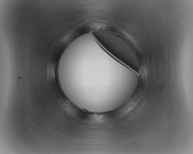 X0000111500570200907141046