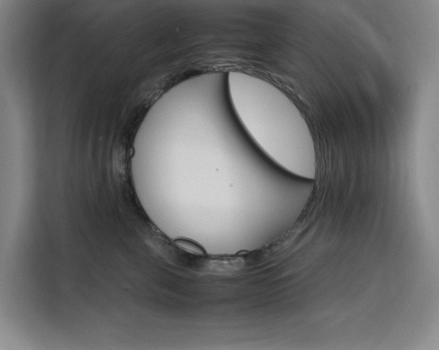 X0000111500571200907141046