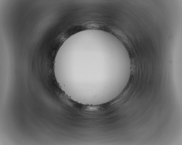 X0000111500573200907141046