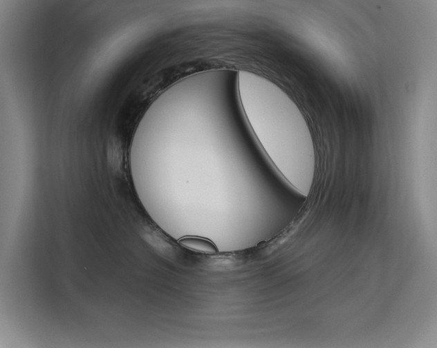X0000111500574200907141046