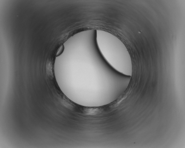 X0000111500575200907141046