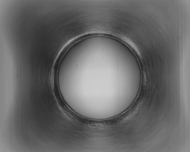 X0000111500580200907141045
