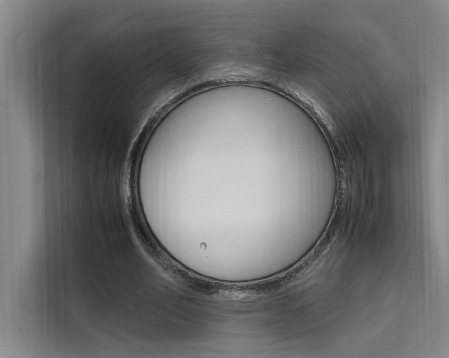 X0000111500582200907141045