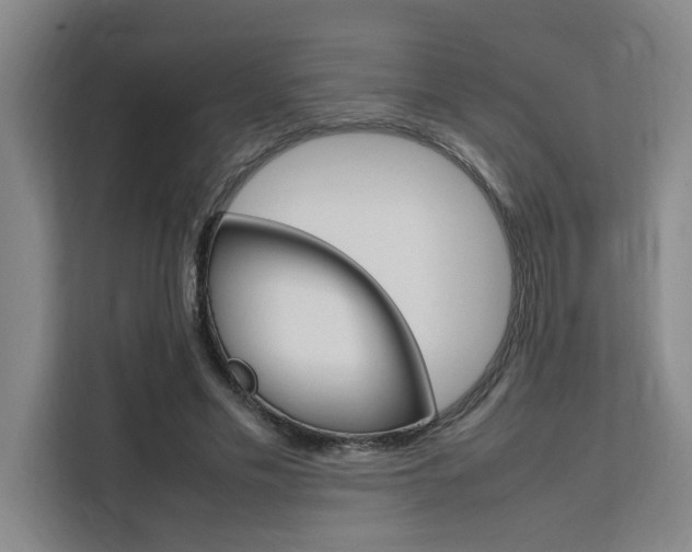 X0000111500589200907141045