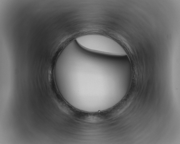 X0000111500596200907141045