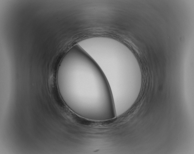 X0000111500597200907141045