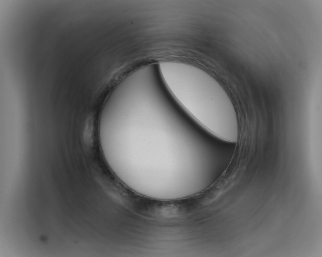 X0000111500600200907141045