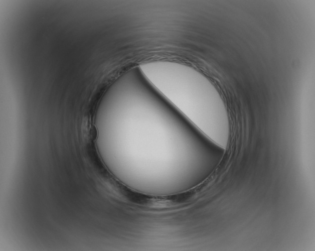 X0000111500605200907141045