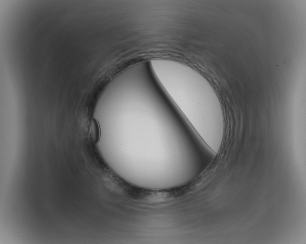 X0000111500609200907141045