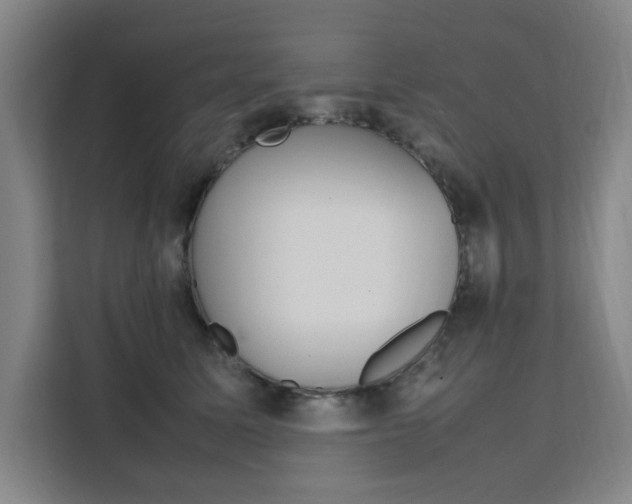 X0000111500611200907141045