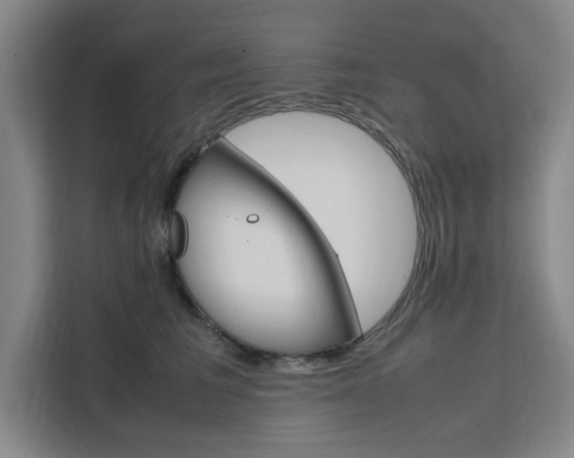 X0000111500613200907141045