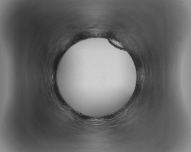 X0000111500615200907141045