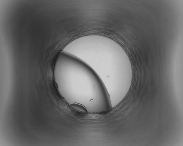 X0000111500617200907141045