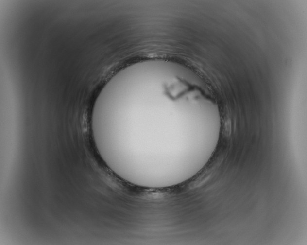 X0000111500620200907141045